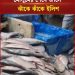 চাঁদপুরের আড়তে ইলিশের ছড়াছড়ি