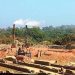 নিষেধাজ্ঞা অমান্য করে ইট তৈরি
