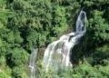 অরণ্যঘেরা পালং খিয়াং ঝরনার মায়া