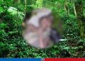 ঘন জঙ্গলে মাটিতে শুয়ে কাঁদছেন বৃদ্ধা